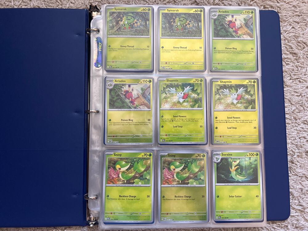 Pokemon Binder master set - Chaos Rising & Perfect Order